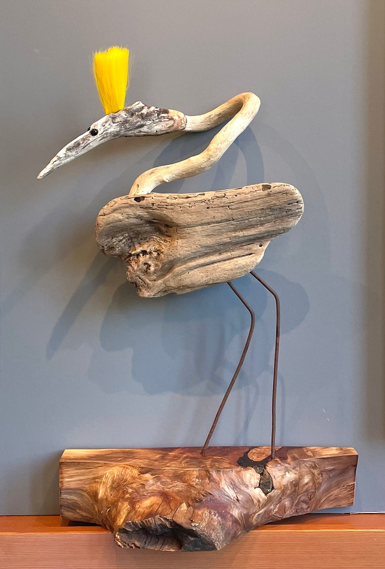 AC21Yellow Crested Shore Bird