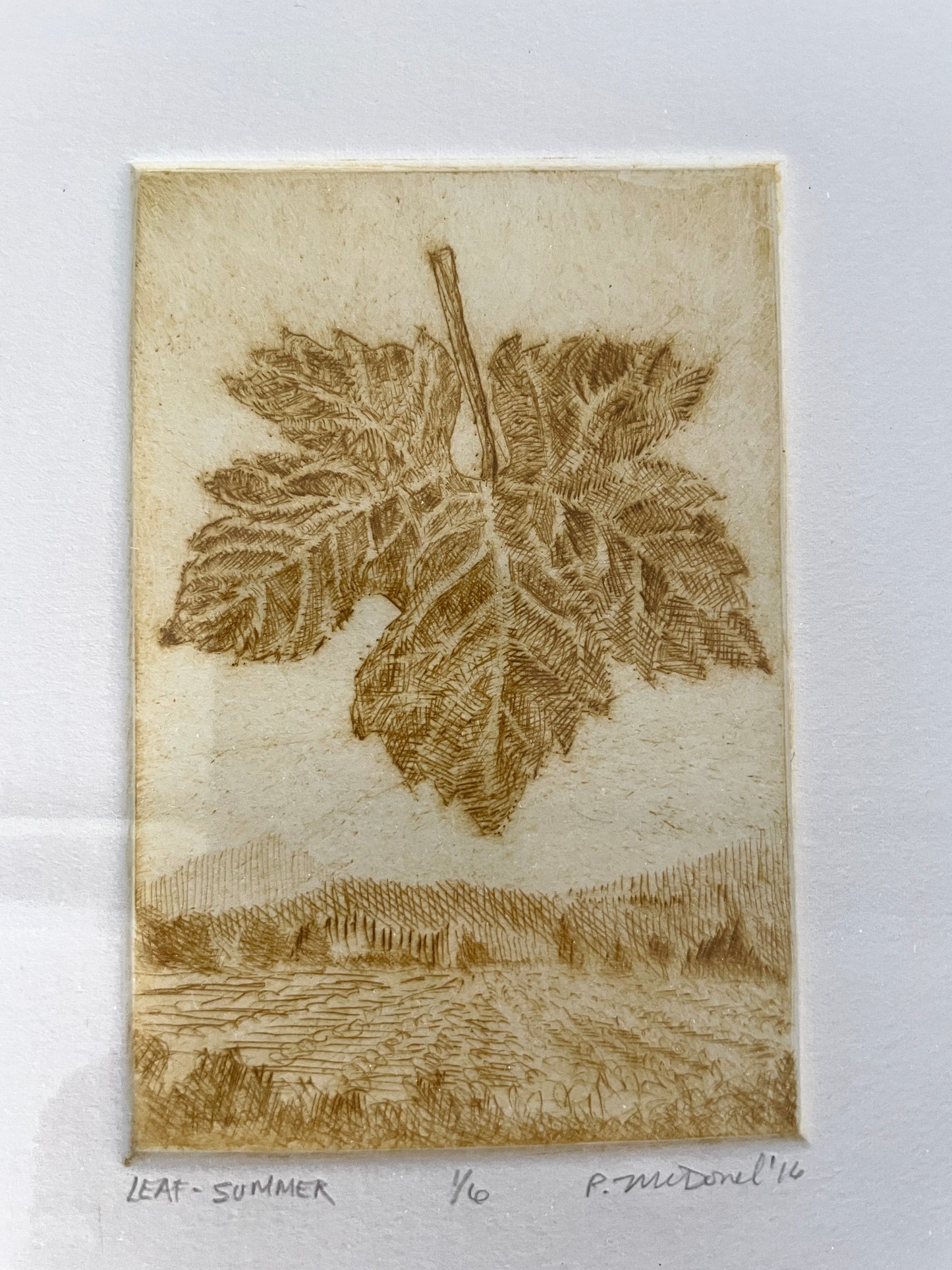 PMD93 Grape Leaf SUMR