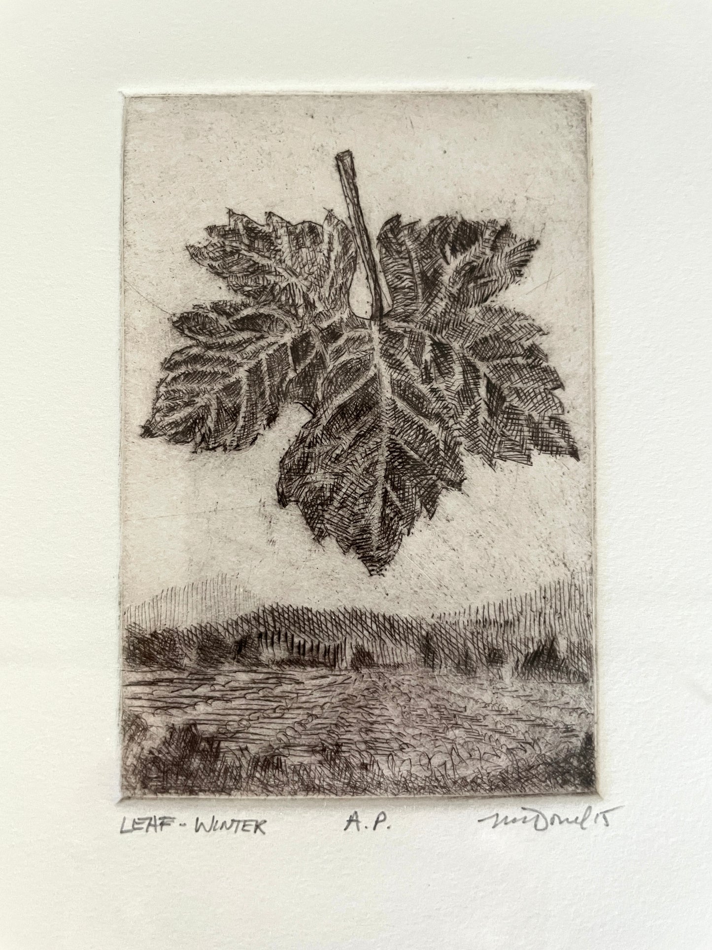 PMD91 Grape Leaf WNTR