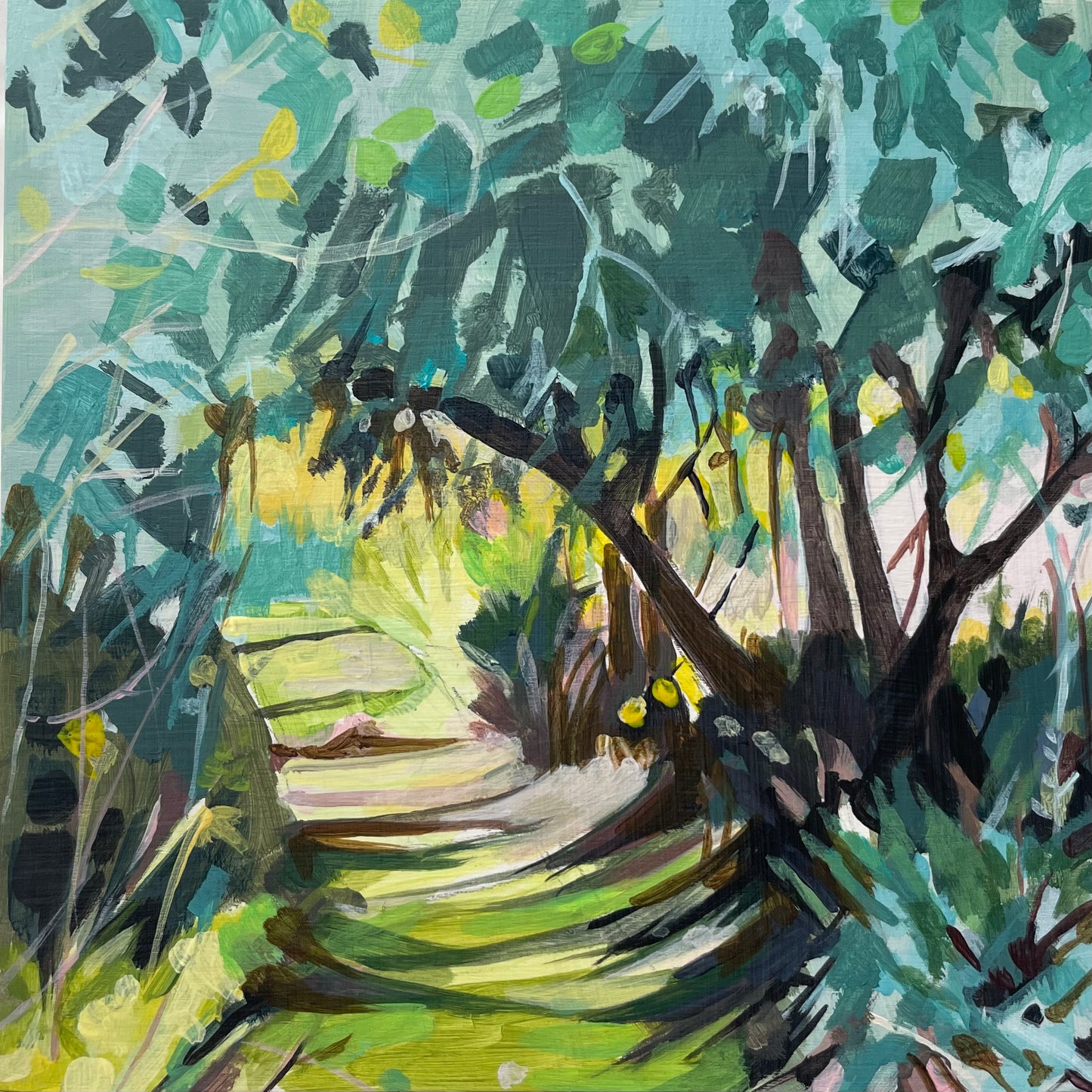 VS105 Olive Trees