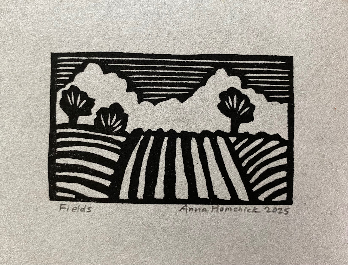 AMH374 Fields
