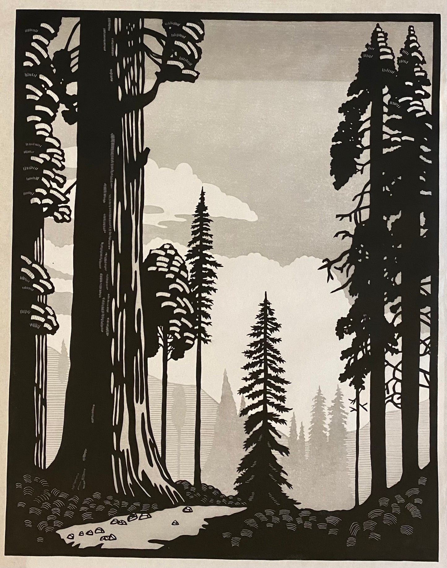 AMH403 Redwood Forest