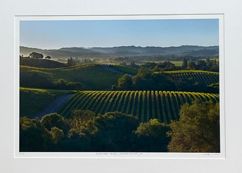 CDB136 Alexander Valley