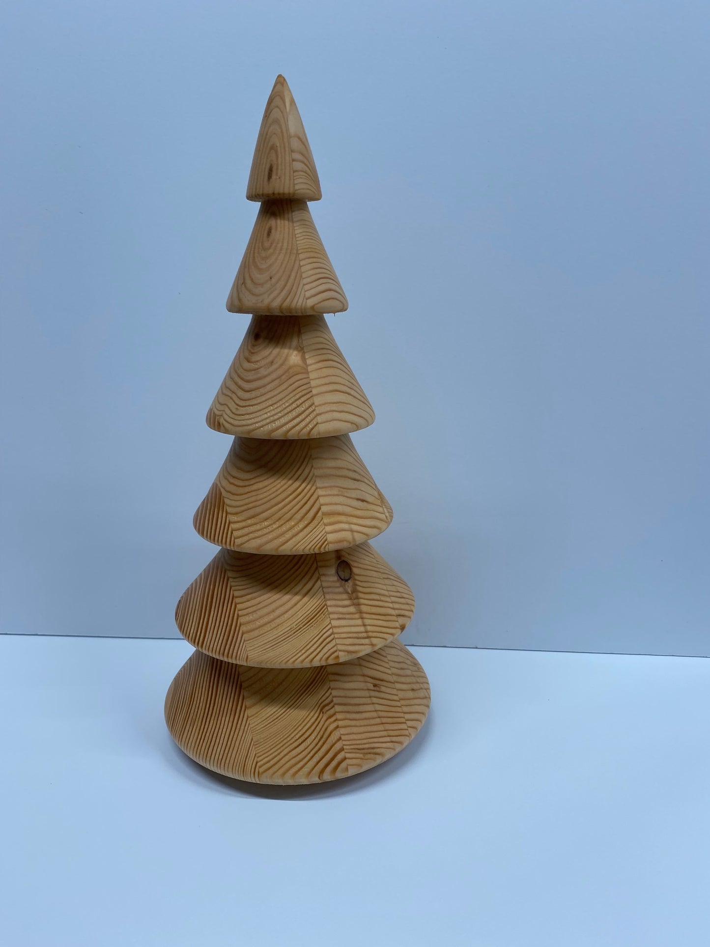 CEL25FE04 12 in tree