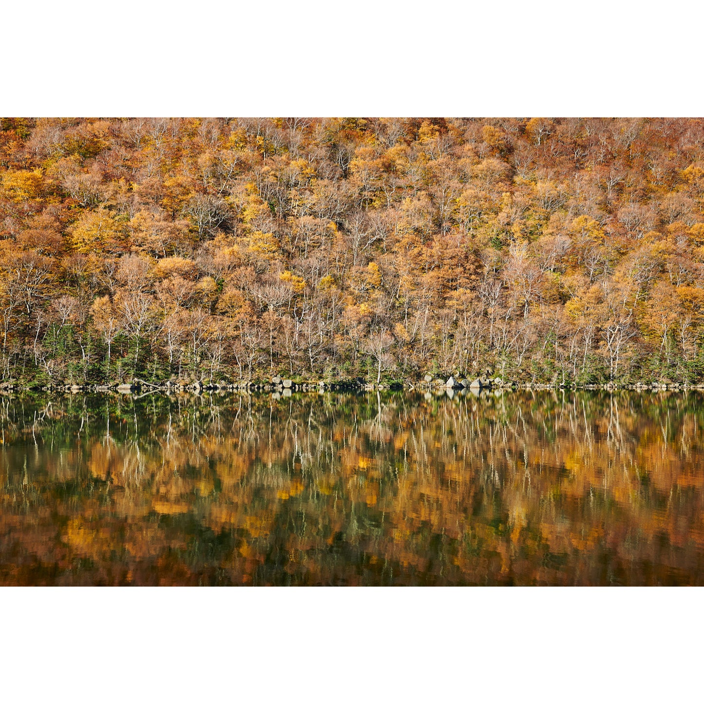 CDB118 Profile Lake