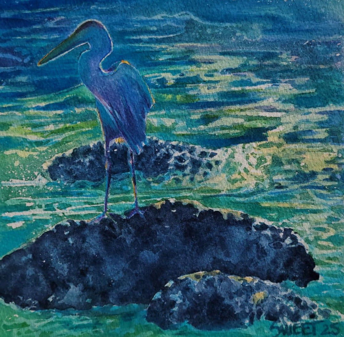 SS969 Tidepool Sunset