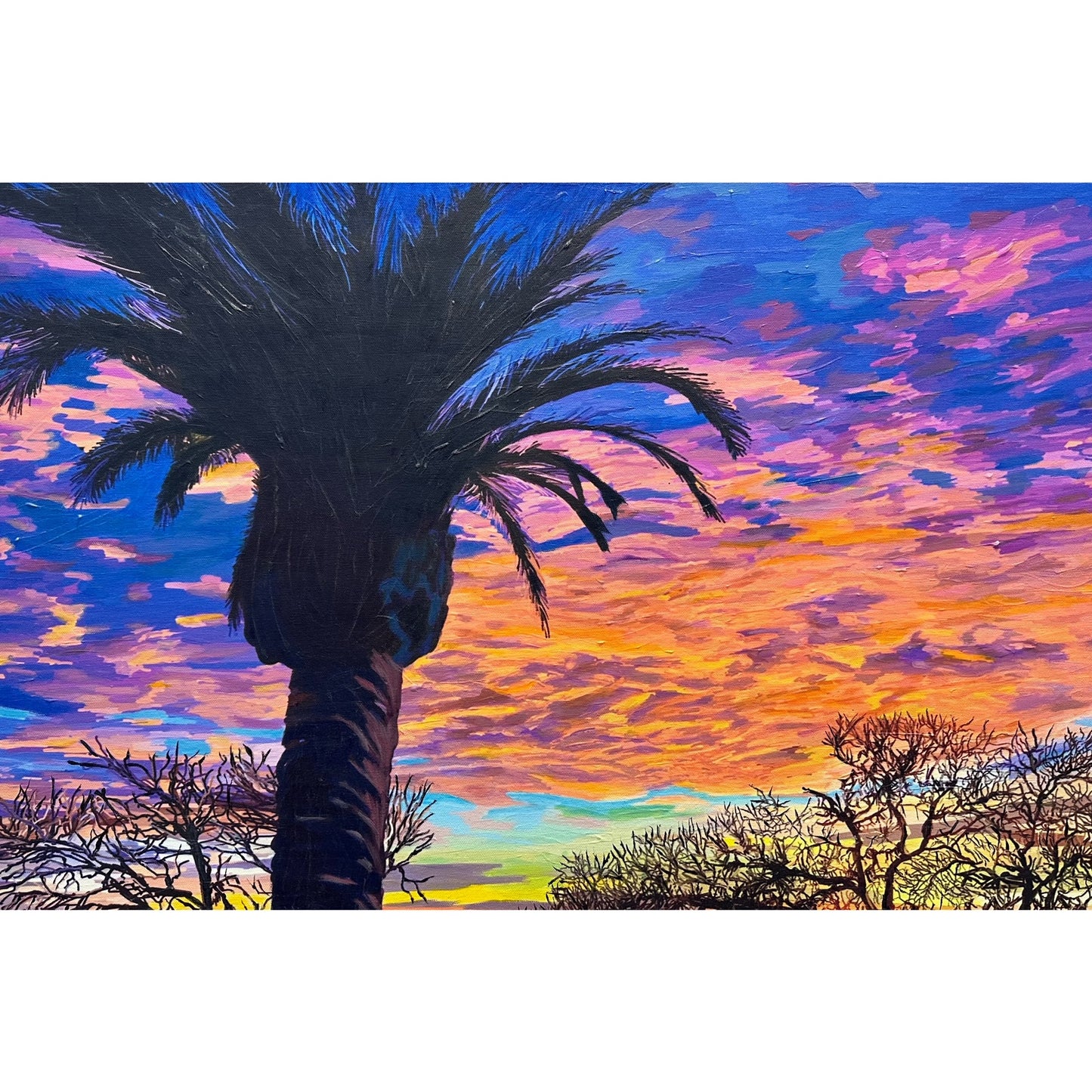 RB266 Healdsburg Sunset