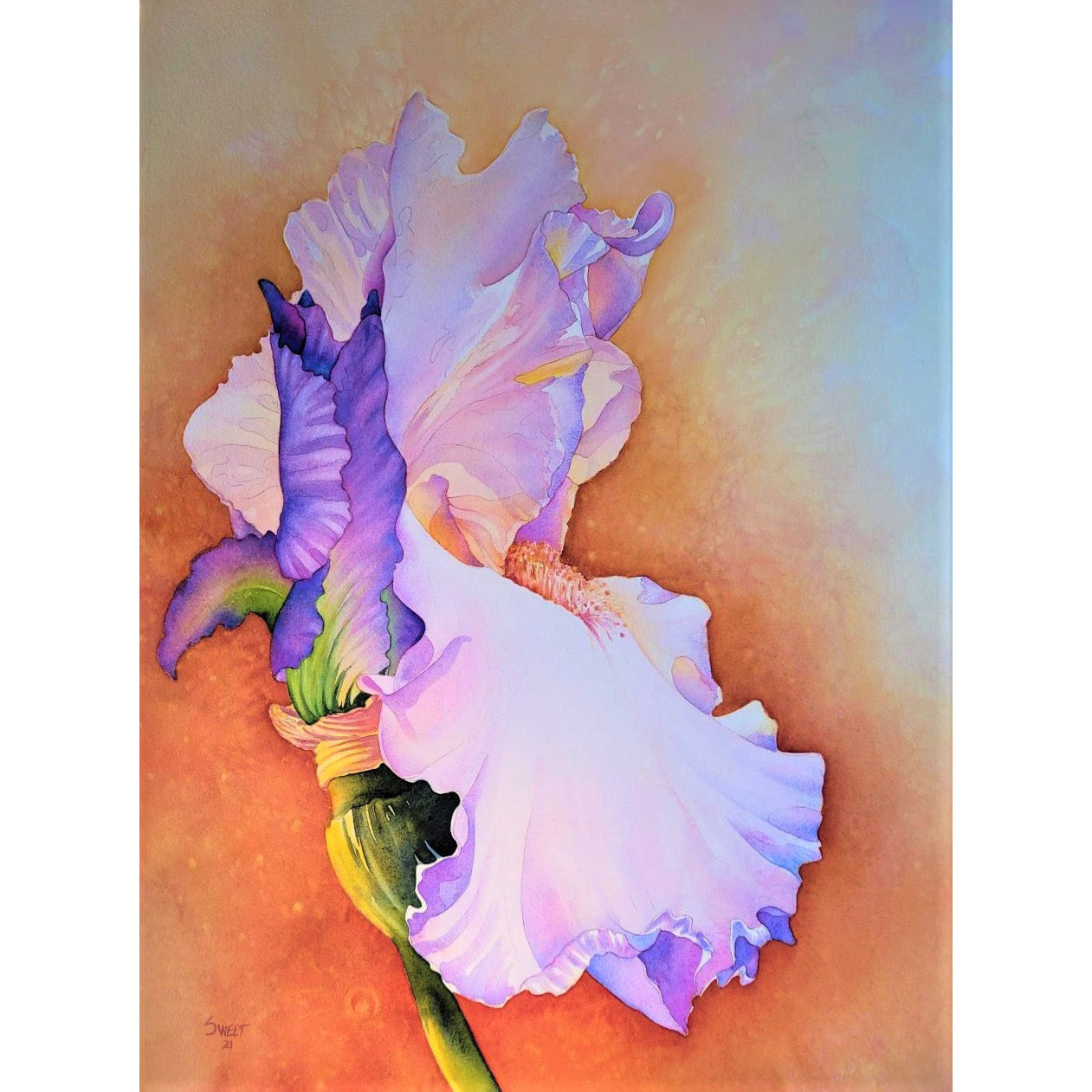 SS910 Iris&Bud