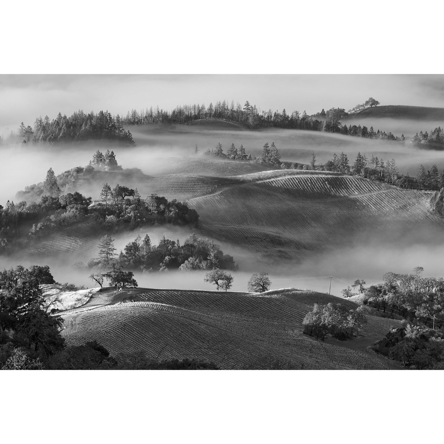 CDB105 Fog Clearing