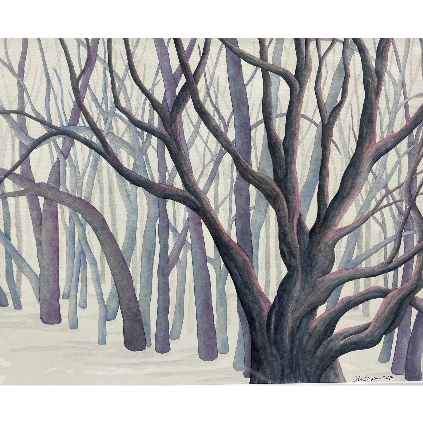CA218 Blue Pinon Forest