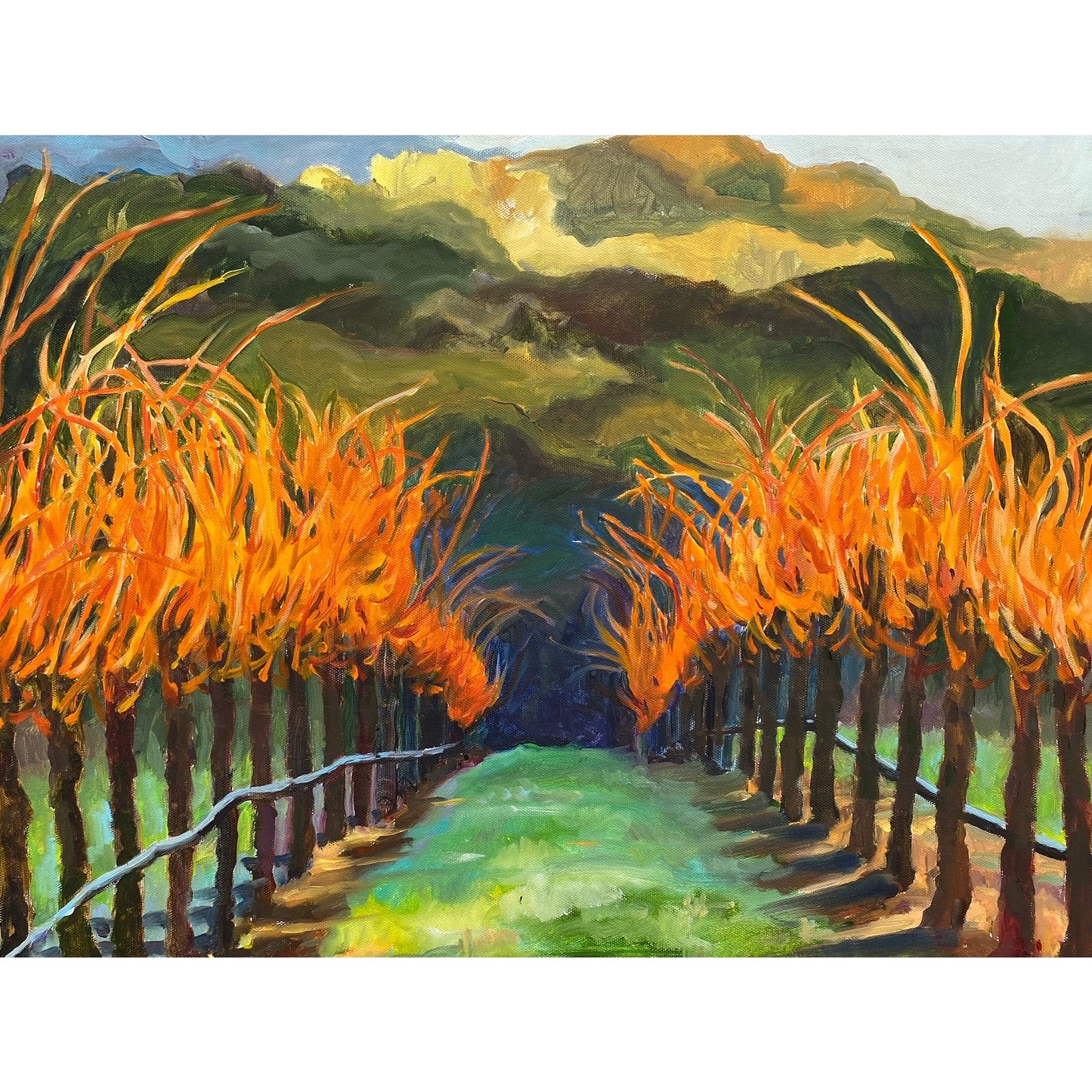 KB102 Vineyard Canes