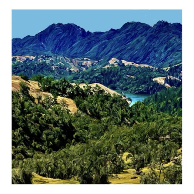 RB303 Lake Sonoma