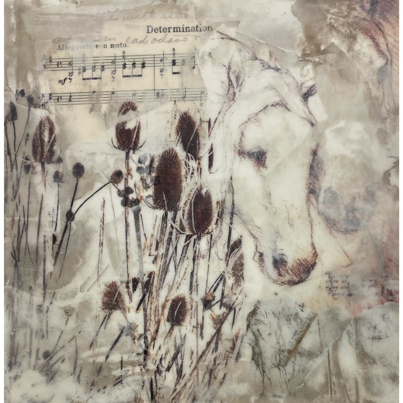 CV2412 Determination