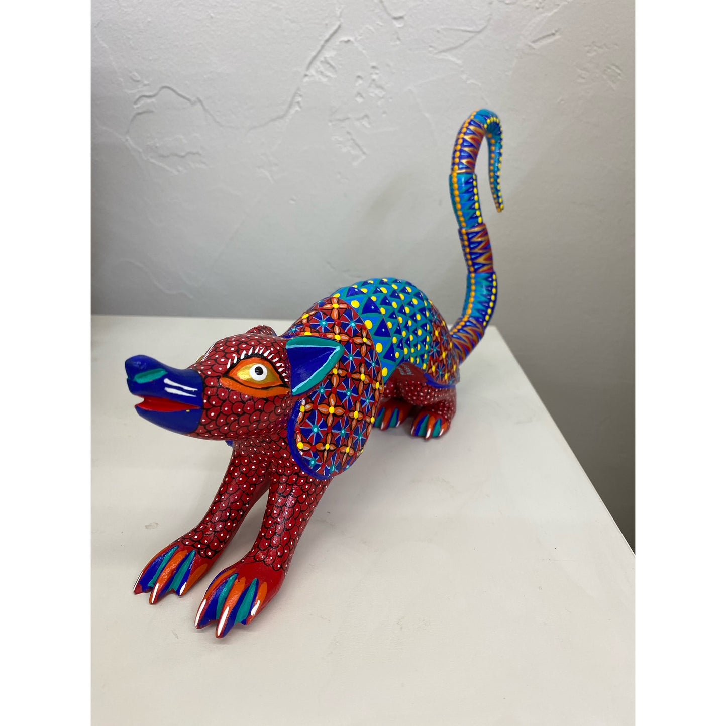 IR01 Oaxacan Armadillo