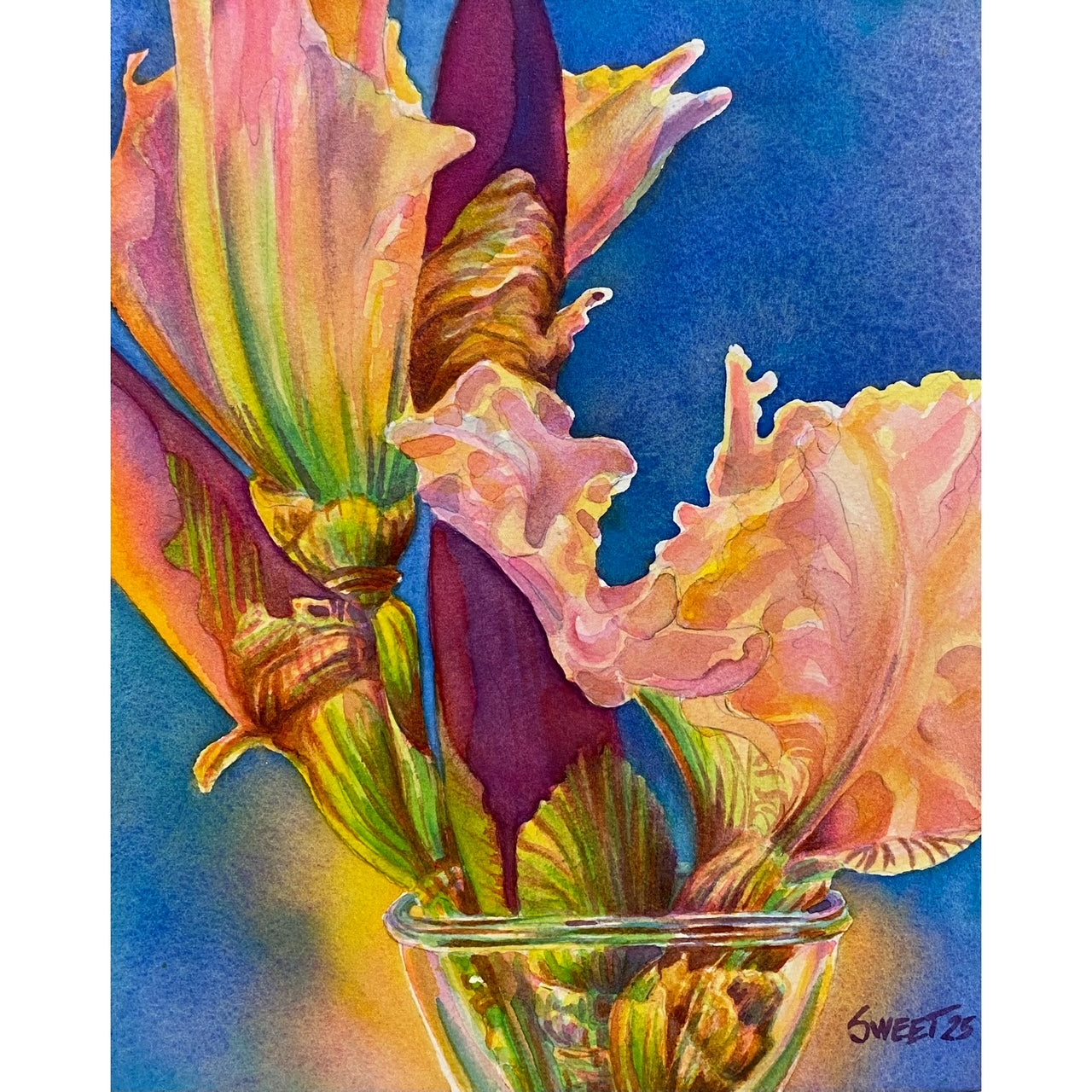 SS948 Iris Party III