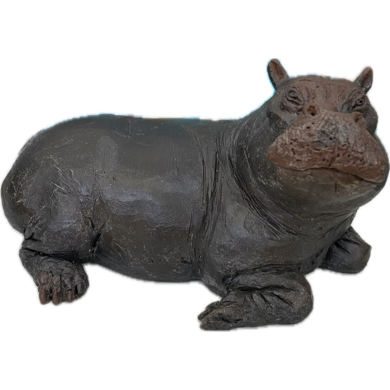 DG1370 Resting Hippo