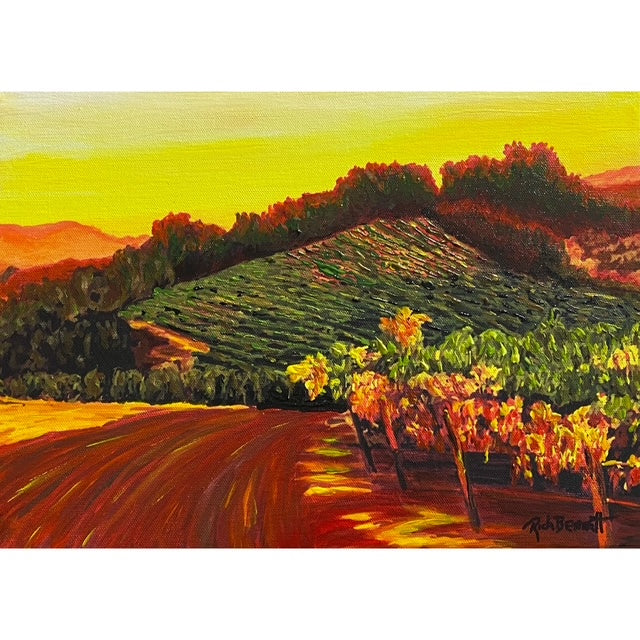 RB500 Lorenzo Vineyard