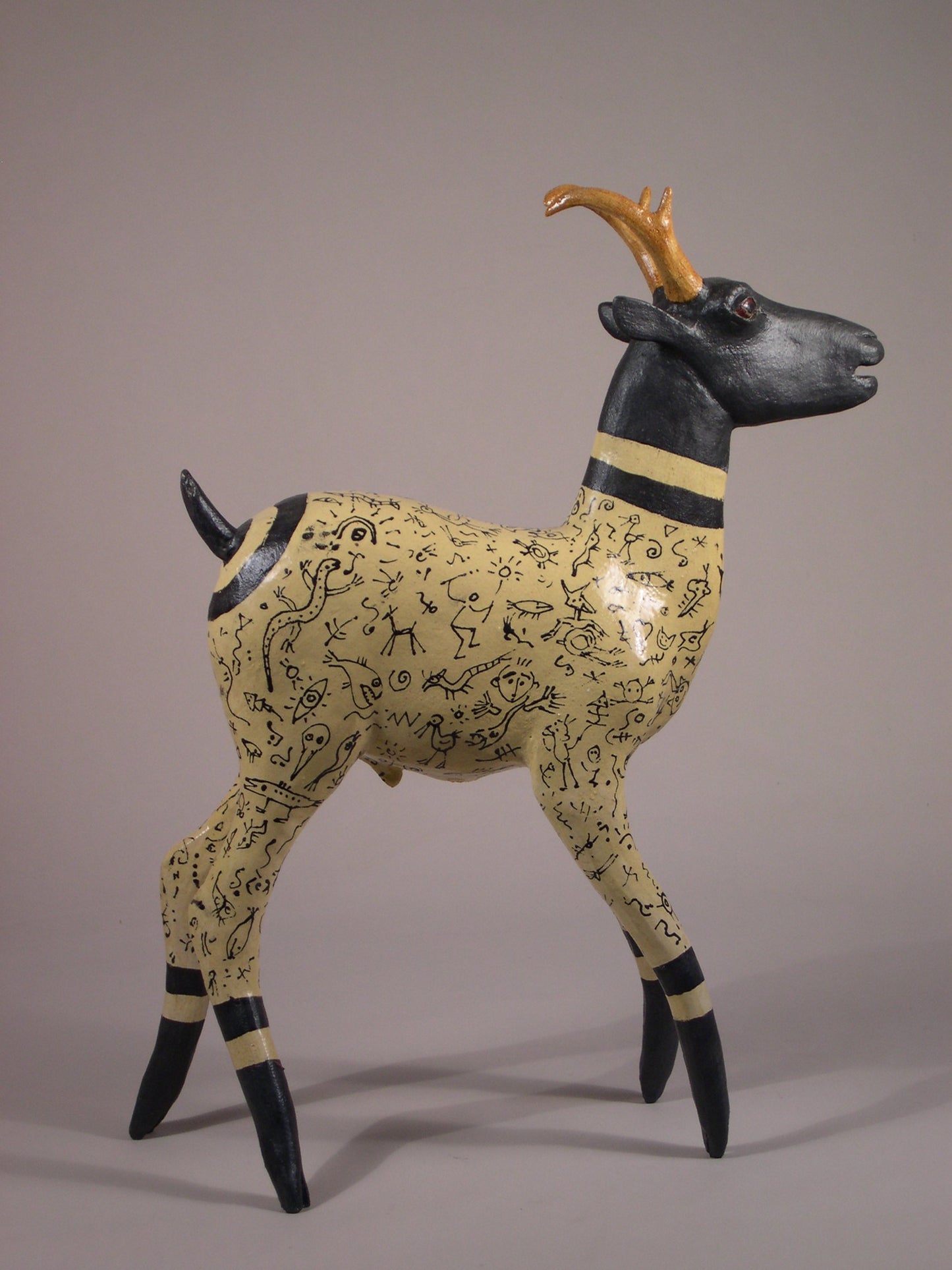 DG 1563 Tattooed Pronghorn