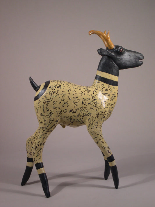 DG 1563 Tattooed Pronghorn