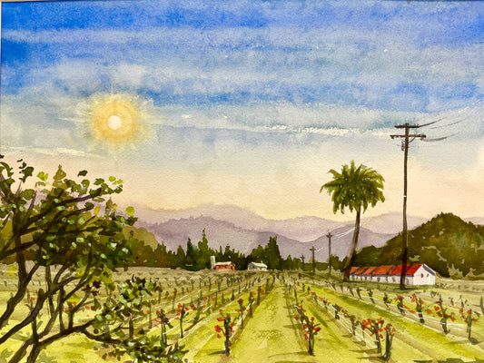 PMD123 Alexander Valley