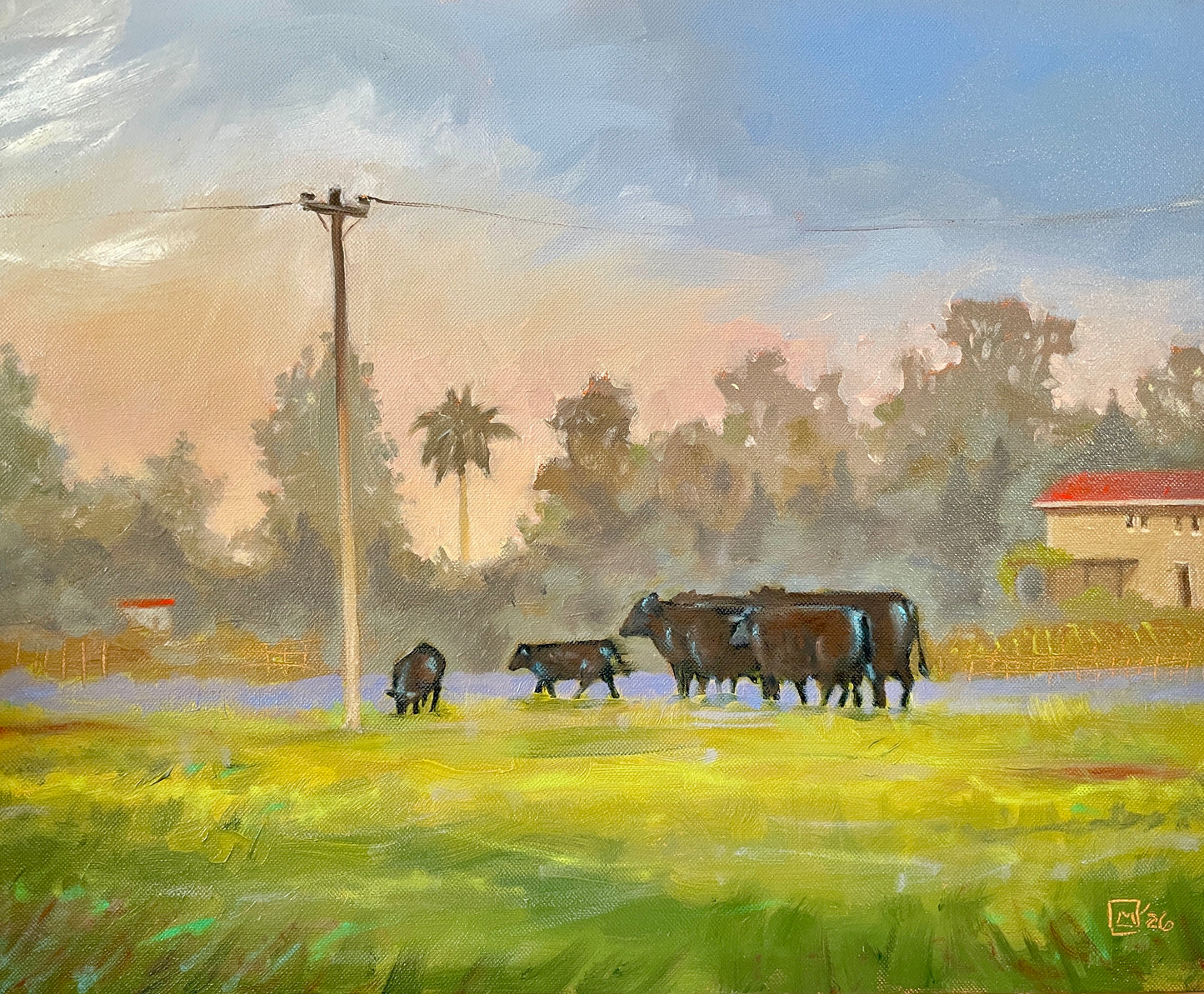 PMD137 Cows in Mist