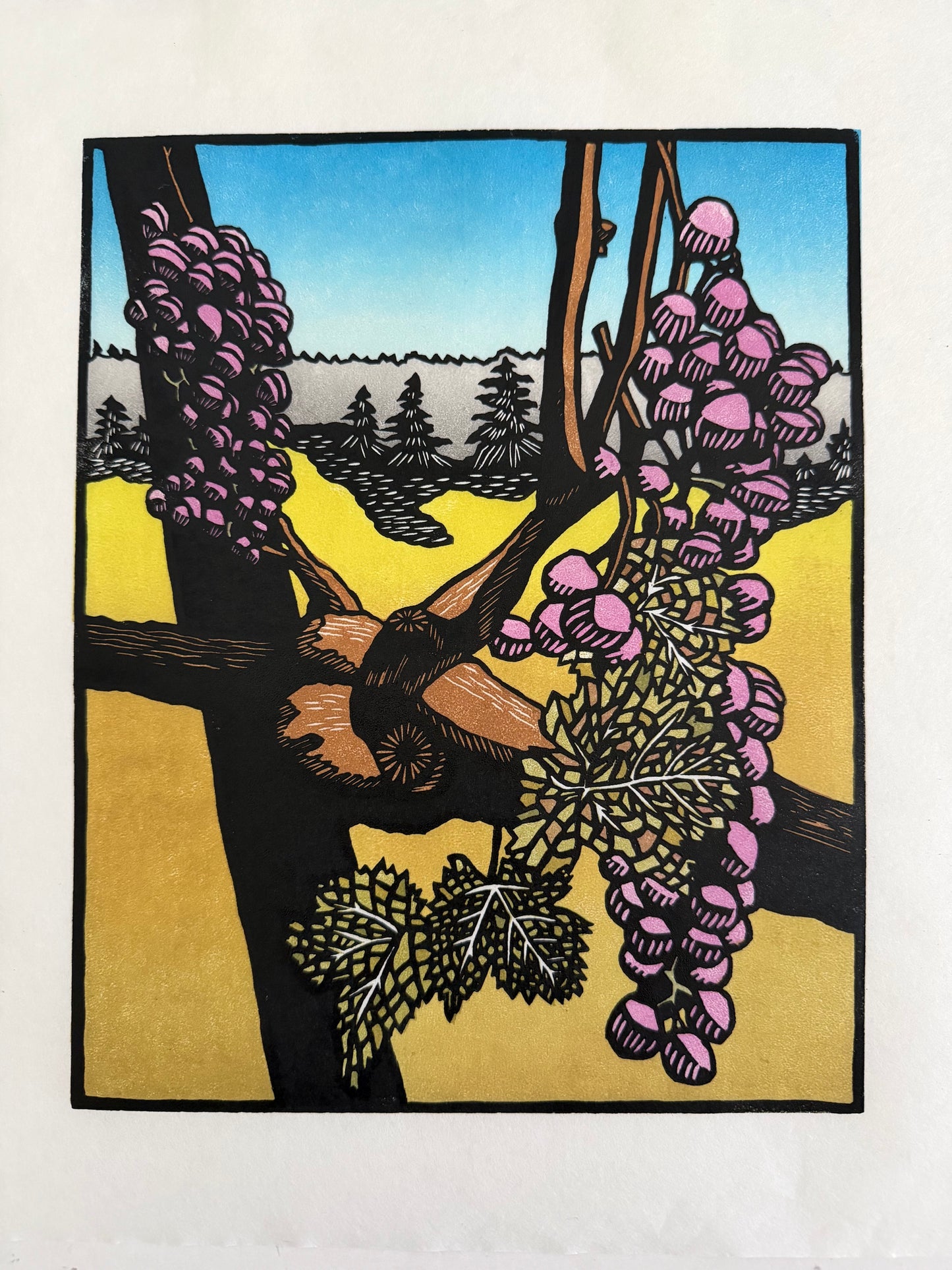 AMH428 Grape