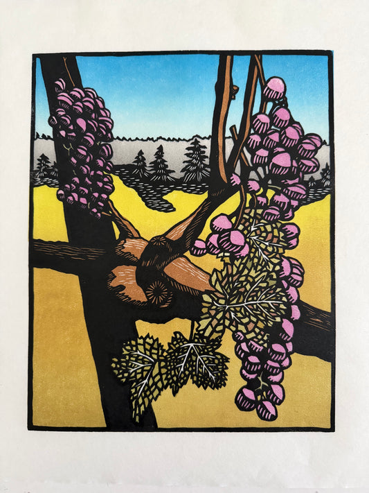 AMH428 Grape