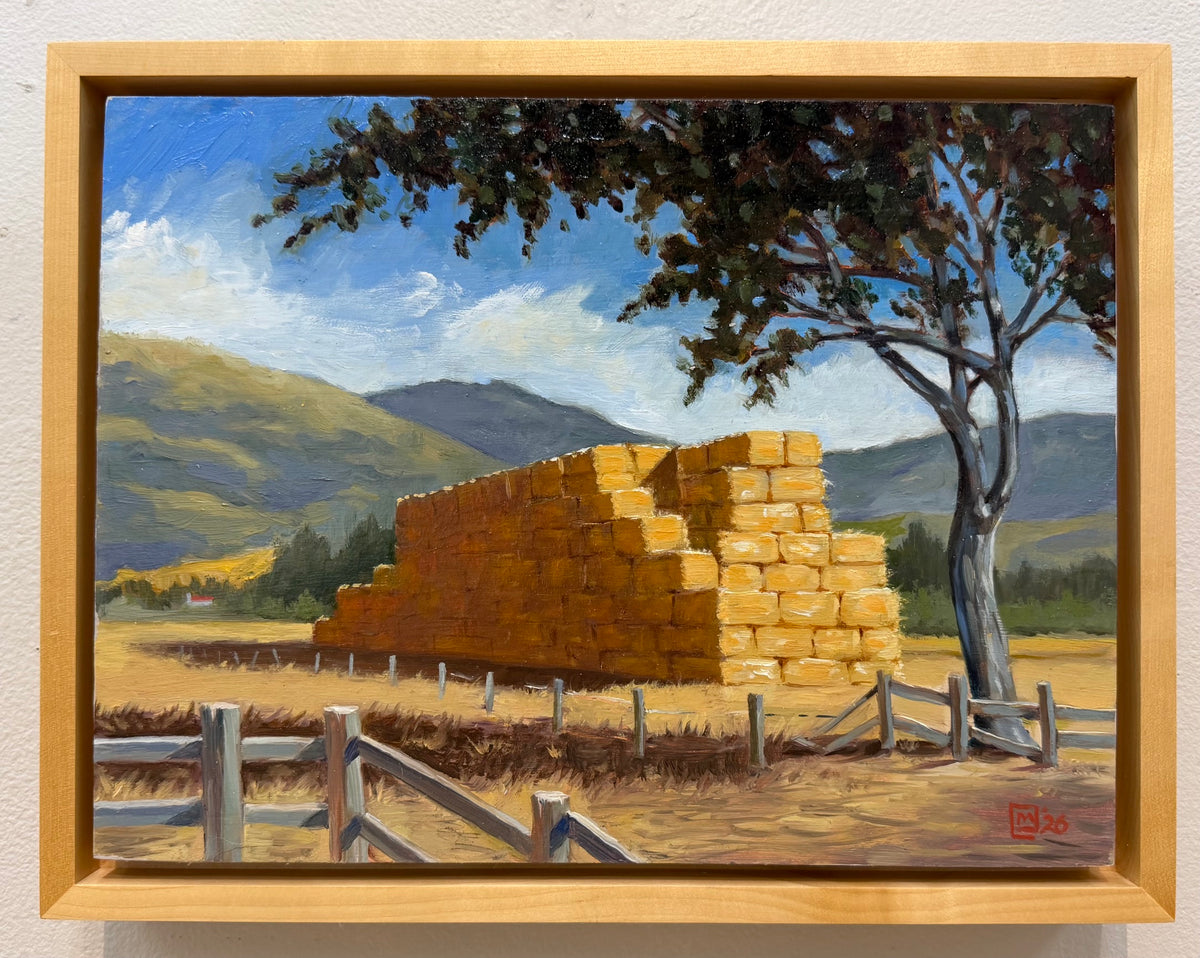 PMD146 Haystacks