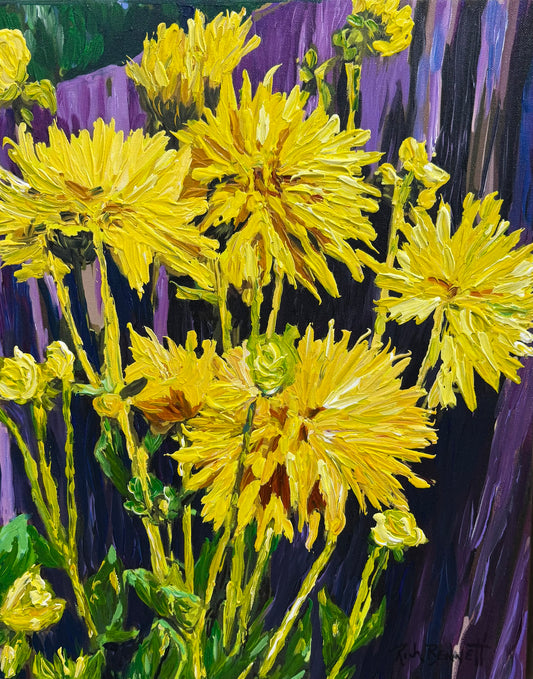 RB5132 Dahlias