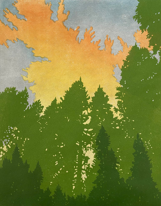 AMH443 Trees at Dawn