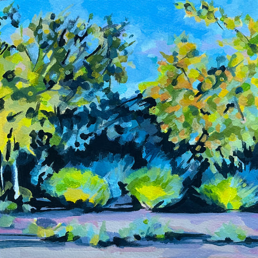 VS78 By the Creek