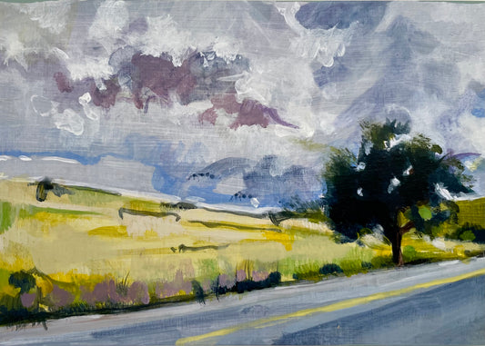 VS118 Spring Raincloud