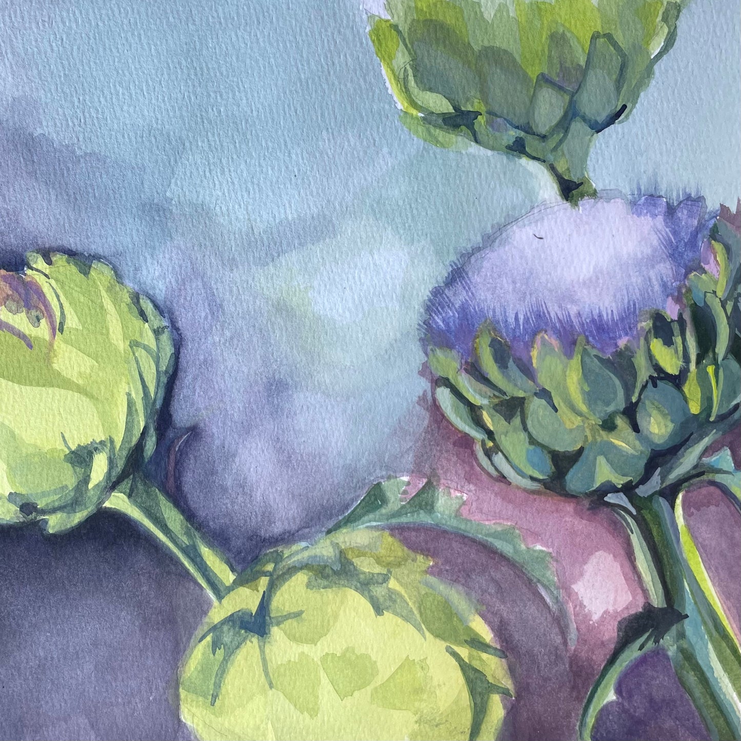 VS49 Artichoke Harvest