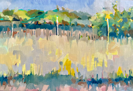 VS126 Spring Field