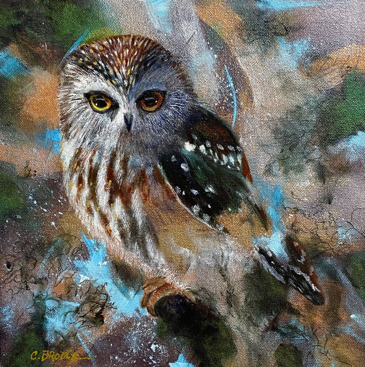 CBGA2510 Pygmy Owl