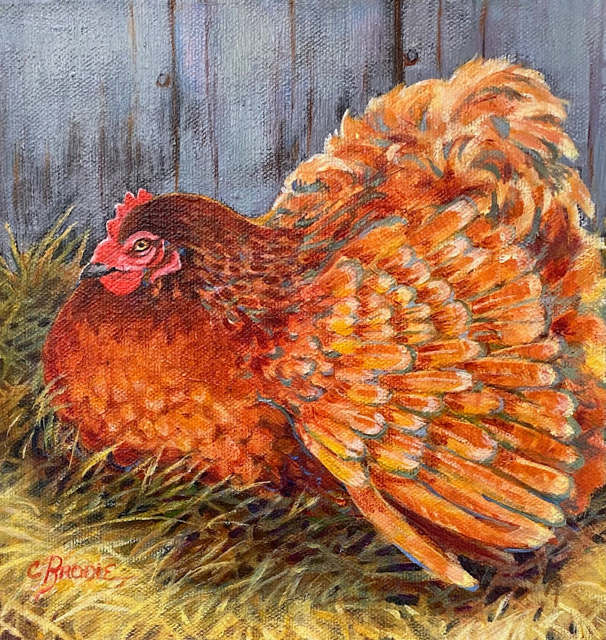 CBGA2507 Henny Penny