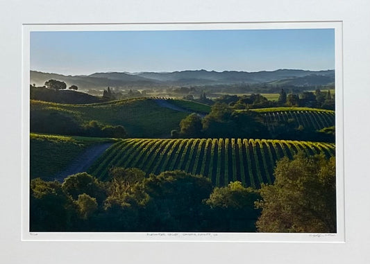 CDB136 Alexander Valley