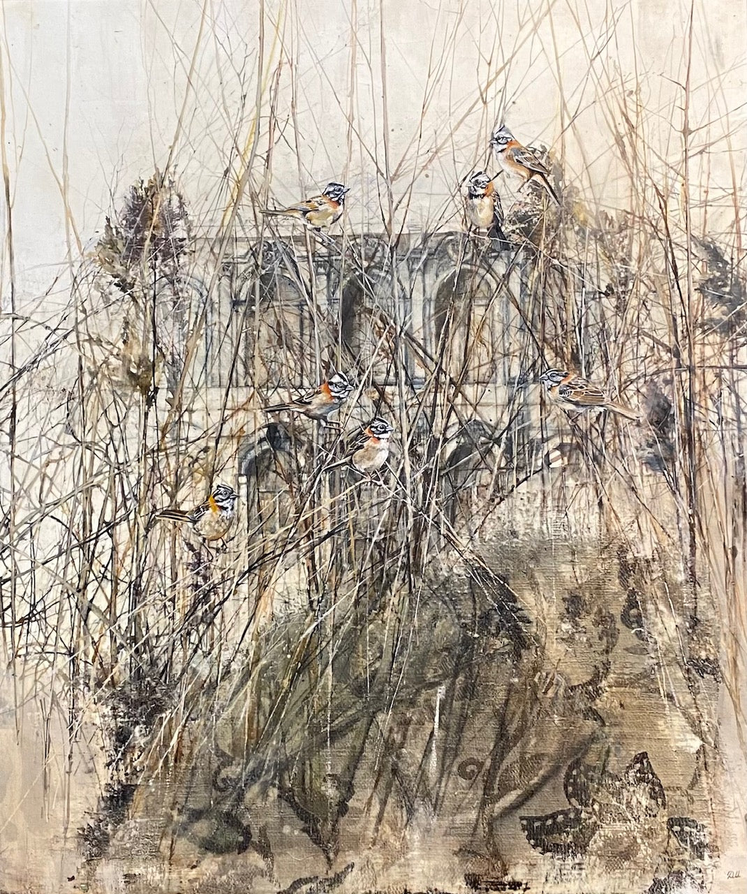 DM131 Hidden Windows