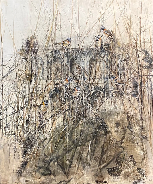 DM131 Hidden Windows