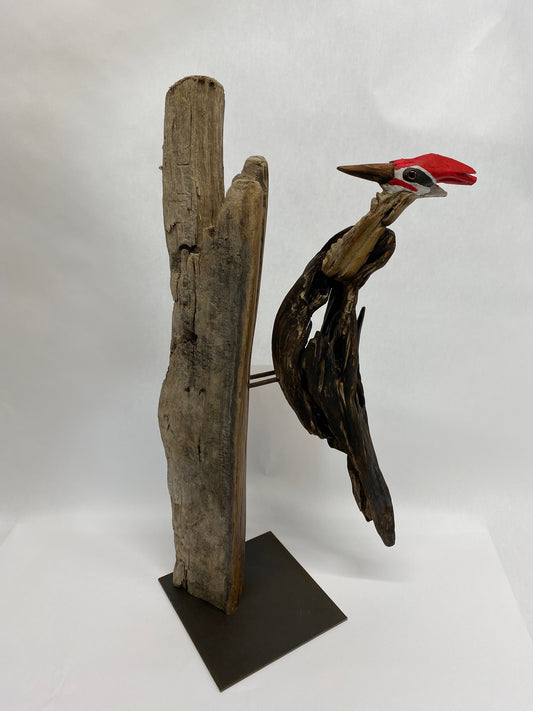CEL25AC1 Pileated Woodpecker