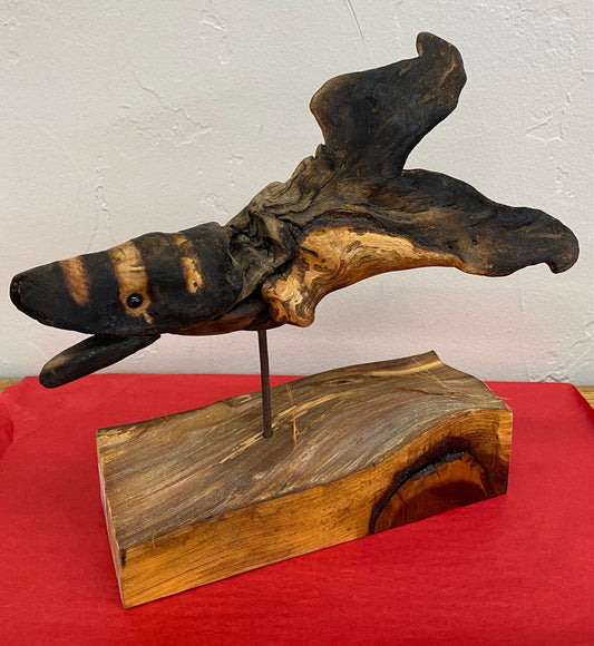 CEL25AC2 Striped Fish