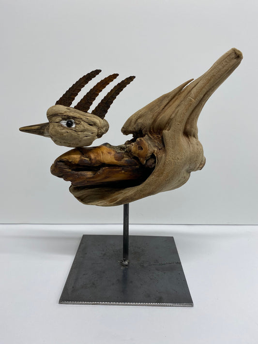 CEL25AC11 Crested Duck