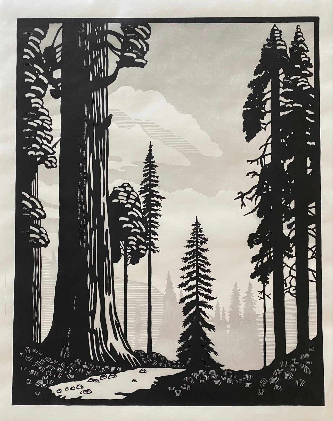 AMH421 Redwood Forest I