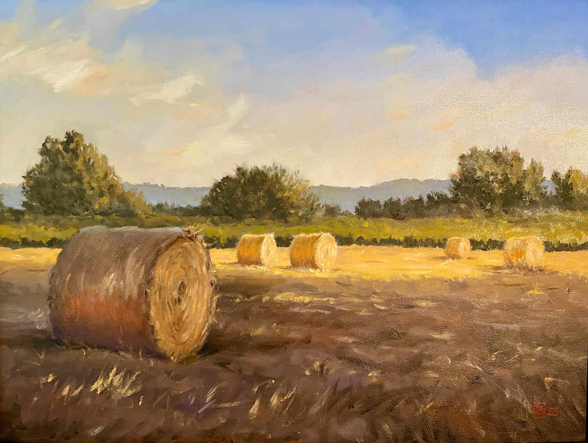PMD150 Golden Hour