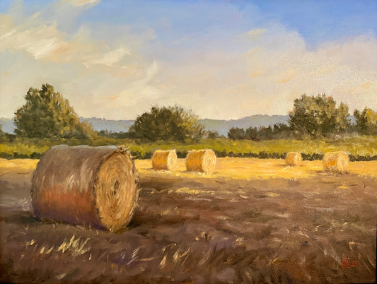 PMD150 Golden Hour