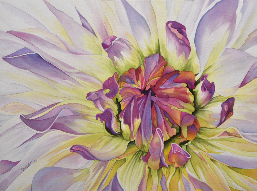 SS949 Interior Dahlia