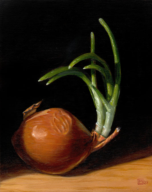 PMD04 Onion