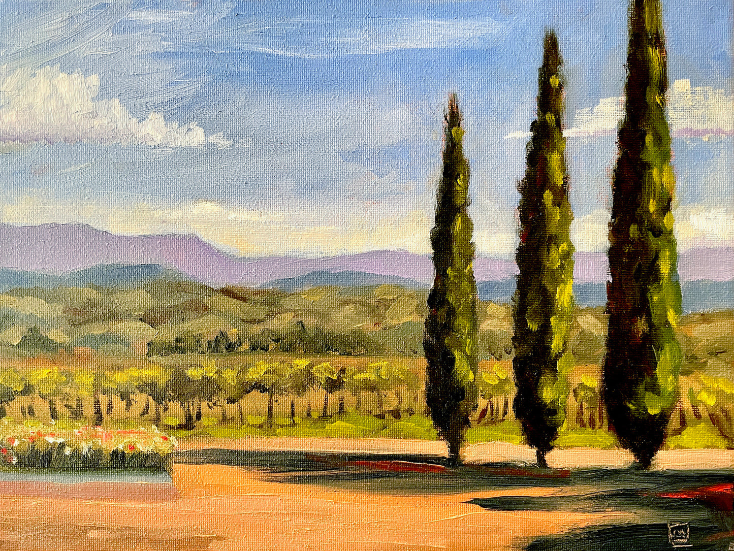 PMD112 Cypress trees