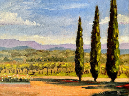 PMD112 Cypress trees