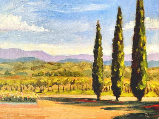 PMD112 Cypress trees